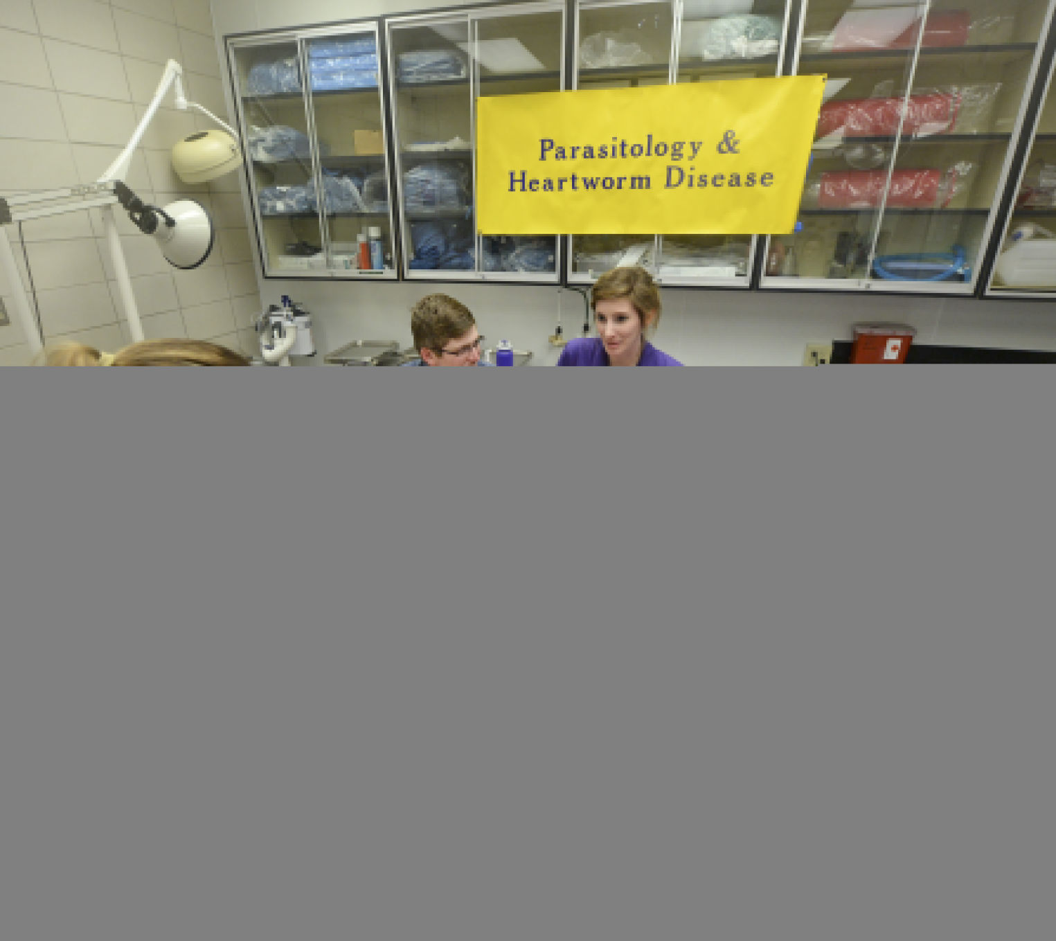 BR.lsuvetopenhouse.012118 HS 068.JPG